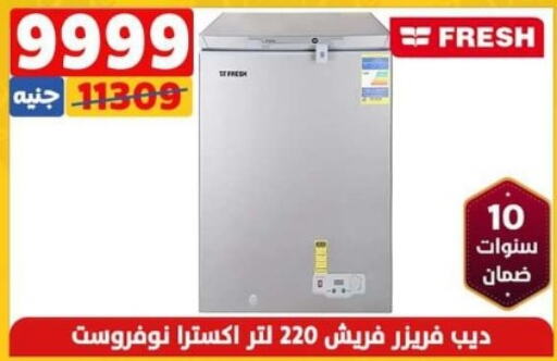 FRESH Freezer  in Shaheen Center in Egypt - Cairo