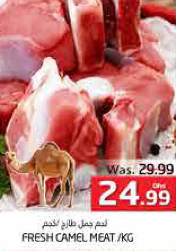  Camel meat  in مجموعة باسونس in الإمارات العربية المتحدة , الامارات - ٱلْعَيْن‎