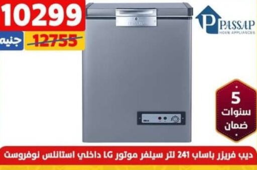 PASSAP Freezer  in Shaheen Center in Egypt - Cairo