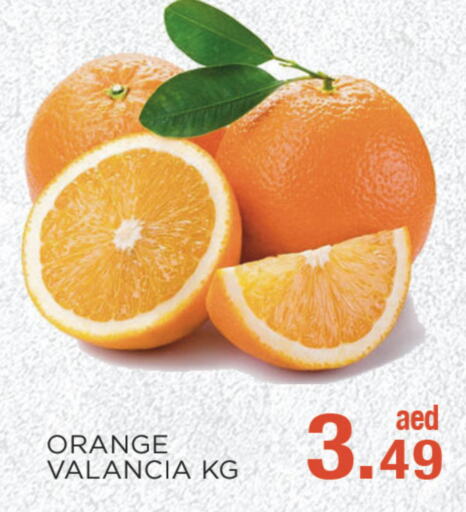  Orange  in سي. ام. هايبرماركت in الإمارات العربية المتحدة , الامارات - أبو ظبي