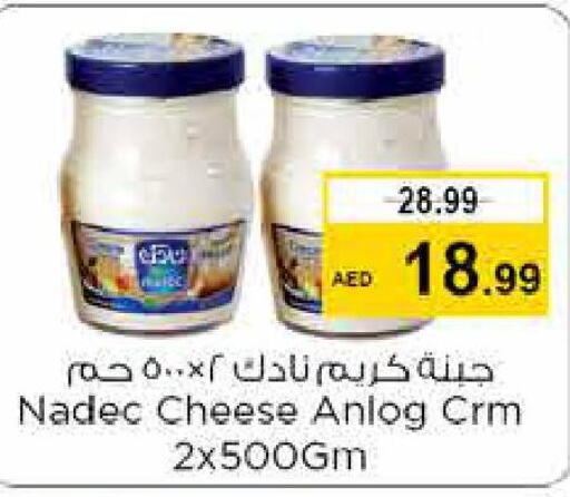 NADEC Cream Cheese  in نستو هايبرماركت in الإمارات العربية المتحدة , الامارات - أبو ظبي