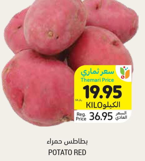  Potato  in Tamimi Market in KSA, Saudi Arabia, Saudi - Jeddah