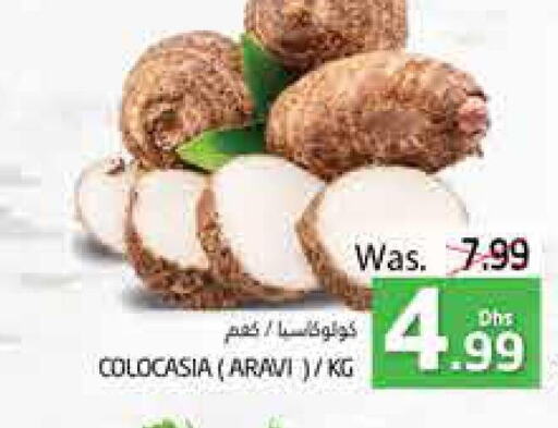  Gourd  in مجموعة باسونس in الإمارات العربية المتحدة , الامارات - ٱلْعَيْن‎