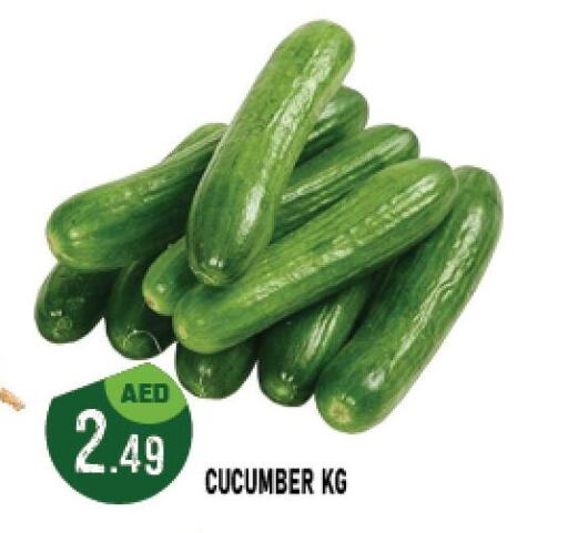  Cucumber  in أزهر المدينة هايبرماركت in الإمارات العربية المتحدة , الامارات - أبو ظبي