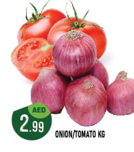  Onion  in أزهر المدينة هايبرماركت in الإمارات العربية المتحدة , الامارات - أبو ظبي