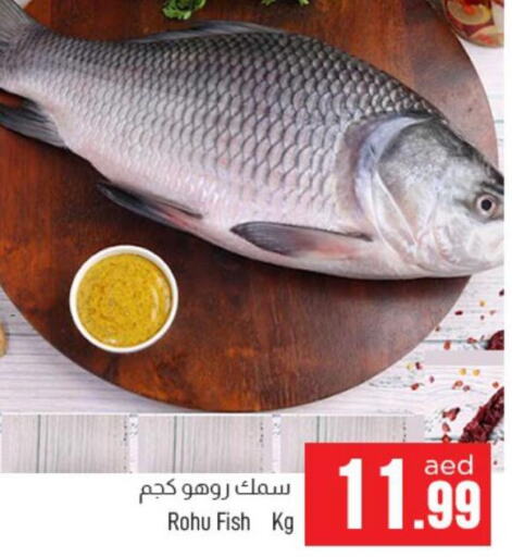  King Fish  in المدينة in الإمارات العربية المتحدة , الامارات - الشارقة / عجمان