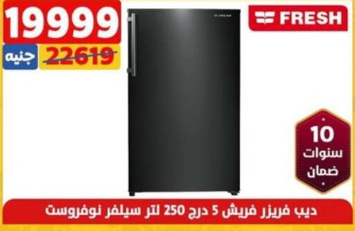 FRESH Freezer  in سنتر شاهين in Egypt - القاهرة