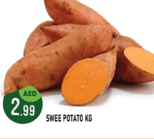  Sweet Potato  in أزهر المدينة هايبرماركت in الإمارات العربية المتحدة , الامارات - أبو ظبي