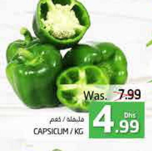  Chilli / Capsicum  in مجموعة باسونس in الإمارات العربية المتحدة , الامارات - ٱلْعَيْن‎