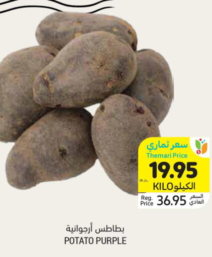  Potato  in Tamimi Market in KSA, Saudi Arabia, Saudi - Buraidah