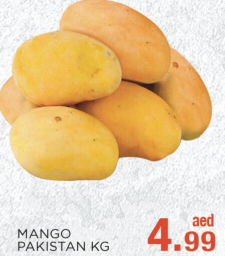  Mangoes  in C.M. supermarket in UAE - Abu Dhabi