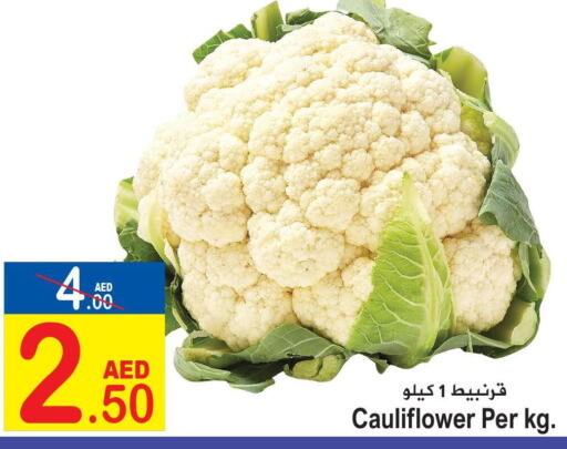  Cauliflower  in سن اند ساند هايبر ماركت ذ.م.م in الإمارات العربية المتحدة , الامارات - رَأْس ٱلْخَيْمَة