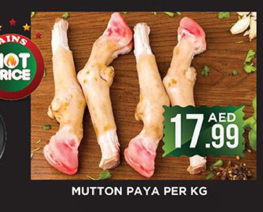  Mutton / Lamb  in اينس المدينة هايبرماركت in الإمارات العربية المتحدة , الامارات - الشارقة / عجمان