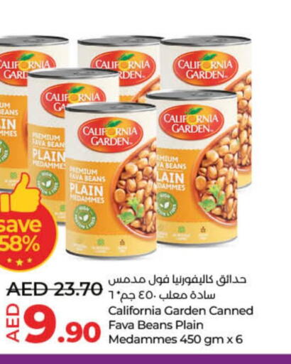 CALIFORNIA Fava Beans  in Lulu Hypermarket in UAE - Umm al Quwain