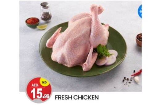  Fresh Chicken  in سوق طلال in الإمارات العربية المتحدة , الامارات - دبي