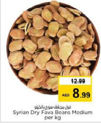  Fava Beans  in نستو هايبرماركت in الإمارات العربية المتحدة , الامارات - دبي