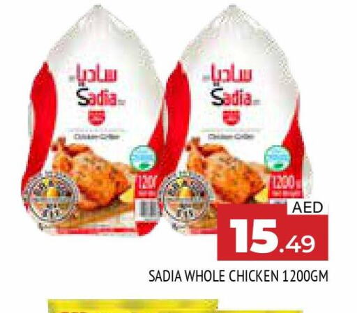 SADIA Frozen Whole Chicken  in المدينة in الإمارات العربية المتحدة , الامارات - الشارقة / عجمان