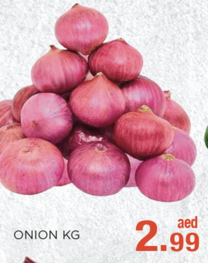  Onion  in سي. ام. هايبرماركت in الإمارات العربية المتحدة , الامارات - أبو ظبي