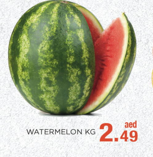  Watermelon  in C.M. supermarket in UAE - Abu Dhabi