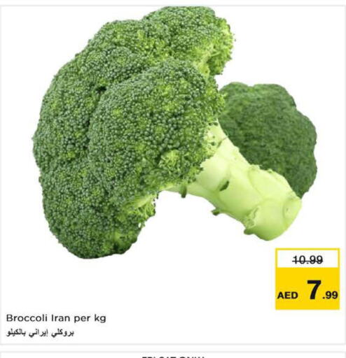 Broccoli  in نستو هايبرماركت in الإمارات العربية المتحدة , الامارات - رَأْس ٱلْخَيْمَة