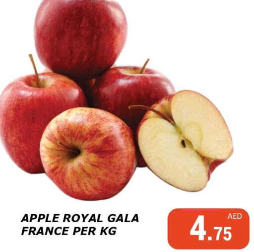  Apples  in Kerala Hypermarket in UAE - Ras al Khaimah