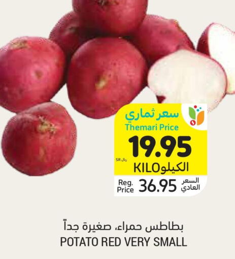  Potato  in أسواق التميمي in مملكة العربية السعودية, السعودية, سعودية - الجبيل‎