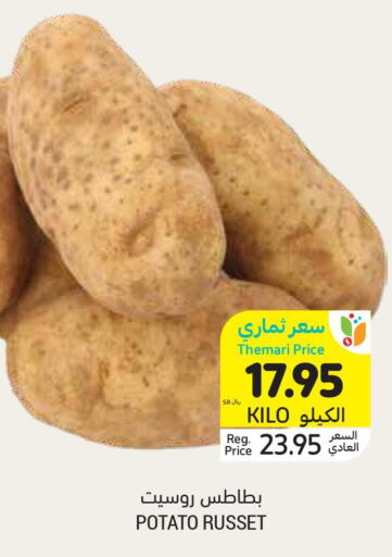  Potato  in أسواق التميمي in مملكة العربية السعودية, السعودية, سعودية - الأحساء‎