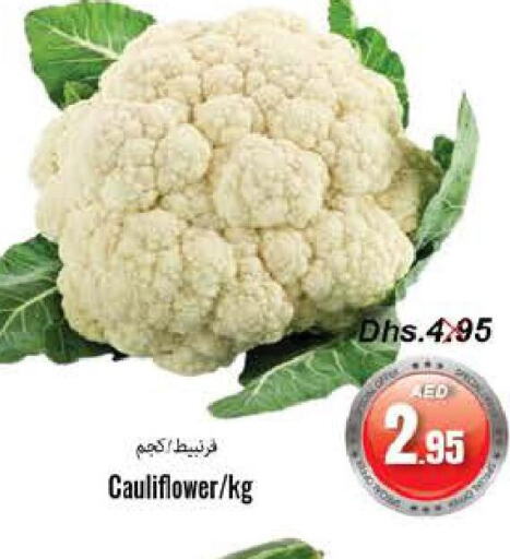  Cauliflower  in PASONS GROUP in UAE - Fujairah