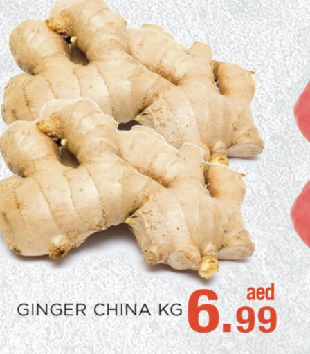  Ginger  in C.M Hypermarket in UAE - Abu Dhabi