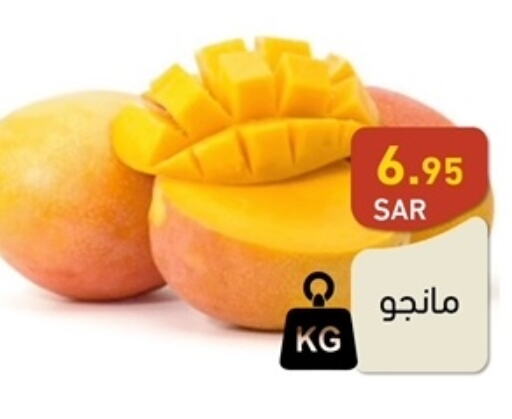  Mangoes  in Aswaq Ramez in KSA, Saudi Arabia, Saudi - Hafar Al Batin