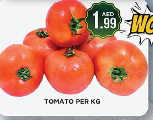  Tomato  in اينس المدينة هايبرماركت in الإمارات العربية المتحدة , الامارات - الشارقة / عجمان
