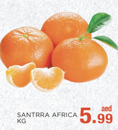  Orange  in سي. ام. هايبرماركت in الإمارات العربية المتحدة , الامارات - أبو ظبي