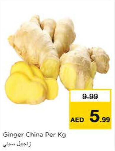  Ginger  in Nesto Hypermarket in UAE - Dubai