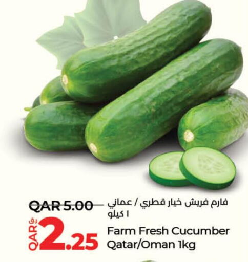  Cucumber  in LuLu Hypermarket in Qatar - Al Khor