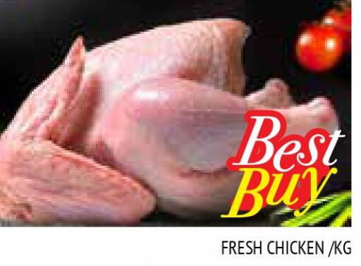  Fresh Chicken  in المدينة in الإمارات العربية المتحدة , الامارات - الشارقة / عجمان