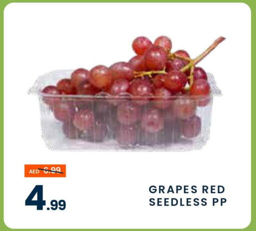  Grapes  in مدهور سوبرماركت in الإمارات العربية المتحدة , الامارات - دبي