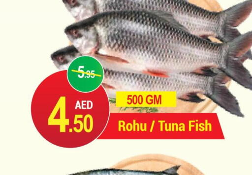  Tuna  in نيو دبليو مارت سوبرماركت in الإمارات العربية المتحدة , الامارات - دبي