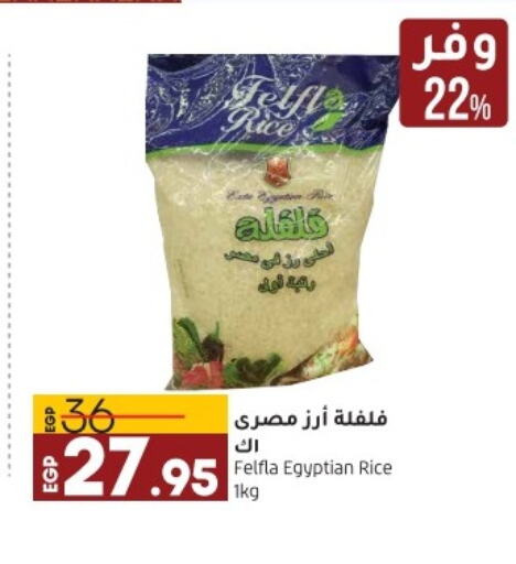  Egyptian / Calrose Rice  in Lulu Hypermarket  in Egypt - Cairo