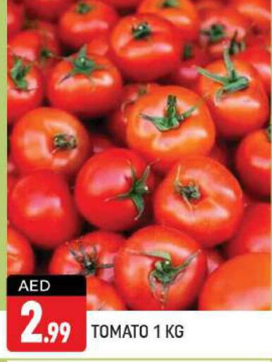  Tomato  in شكلان ماركت in الإمارات العربية المتحدة , الامارات - دبي