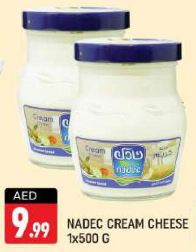 NADEC Cream Cheese  in شكلان ماركت in الإمارات العربية المتحدة , الامارات - دبي