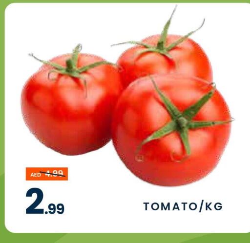  Tomato  in مدهور سوبرماركت in الإمارات العربية المتحدة , الامارات - دبي