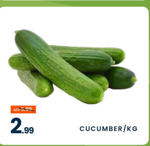  Cucumber  in MADHOOR SUPERMARKET L.L.C in UAE - Dubai