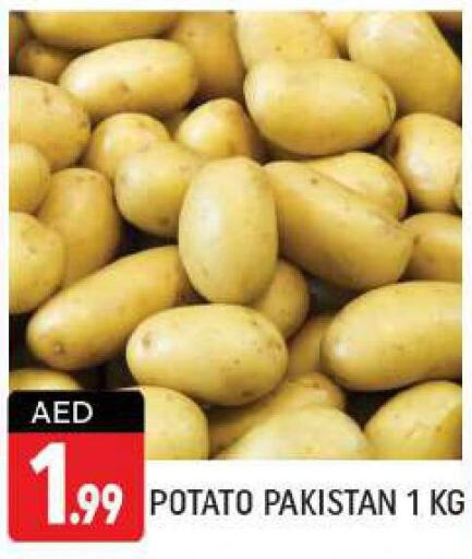  Potato  in شكلان ماركت in الإمارات العربية المتحدة , الامارات - دبي
