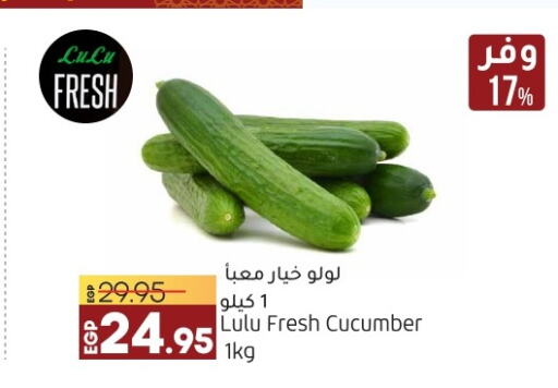  Cucumber  in لولو هايبرماركت in Egypt - القاهرة