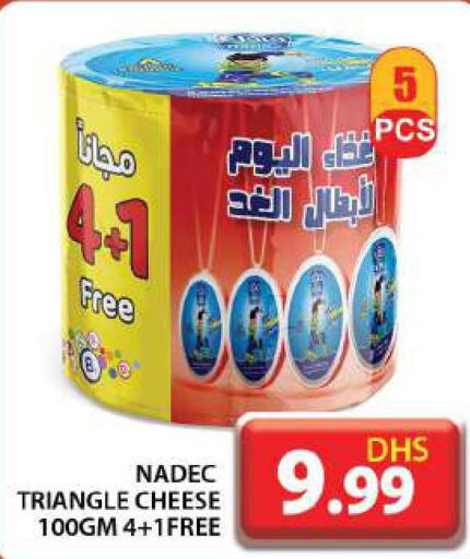 NADEC Triangle Cheese  in جراند هايبر ماركت in الإمارات العربية المتحدة , الامارات - دبي
