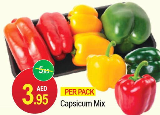  Chilli / Capsicum  in رتش سوبرماركت in الإمارات العربية المتحدة , الامارات - دبي
