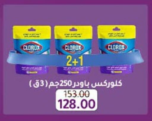 CLOROX General Cleaner  in وكالة المنصورة - الدقهلية‎ in Egypt - القاهرة