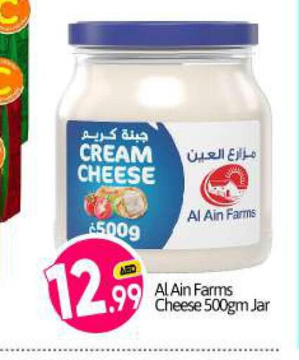 AL AIN Cream Cheese  in بيج مارت in الإمارات العربية المتحدة , الامارات - دبي