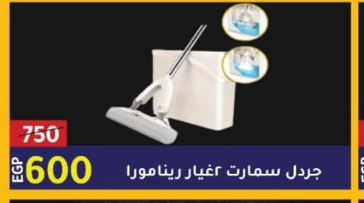  Cleaning Aid  in وكالة المنصورة - الدقهلية‎ in Egypt - القاهرة
