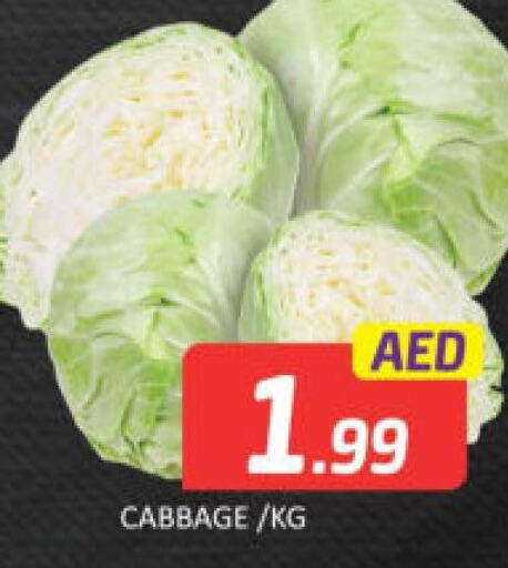  Cabbage  in مانجو هايبرماركت in الإمارات العربية المتحدة , الامارات - دبي